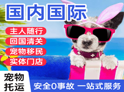巴彦淖尔天吉泰机场快运国际宠物托运 【国